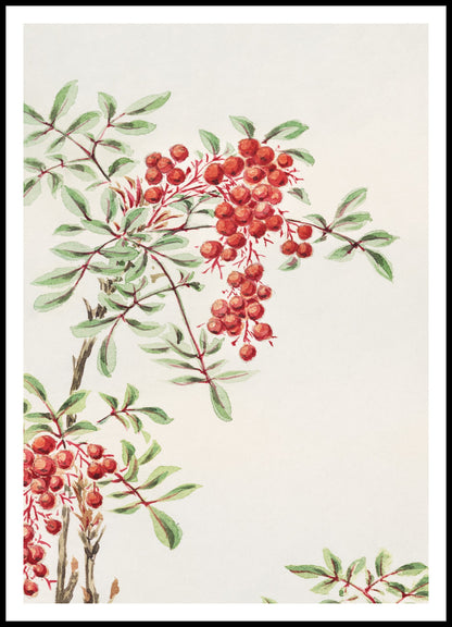 Plakat  Nandina Bush, Morikaga Japoński Vintage do Salonu