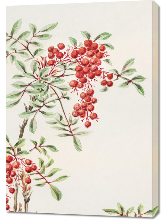 Obraz  Nandina Bush, Morikaga Japoński Vintage do Salonu