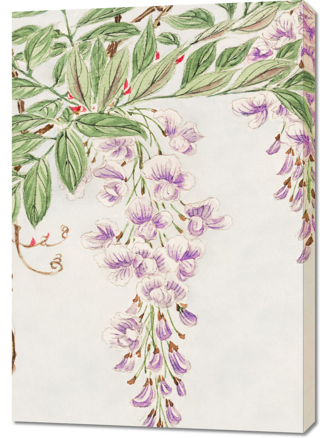 Obraz  Wisteria Vine, Morikaga Japoński Vintage do Salonu
