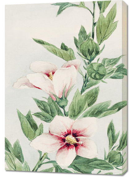 Obraz  Hibiscus, Morikaga Japoński Vintage do Salonu