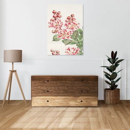 Obraz  Sarusubi Blossoms, Morikaga Japoński Vintage