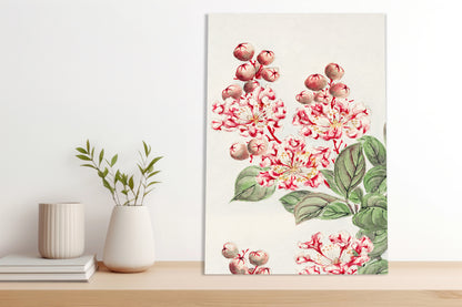 Obraz  Sarusubi Blossoms, Morikaga Japoński Vintage