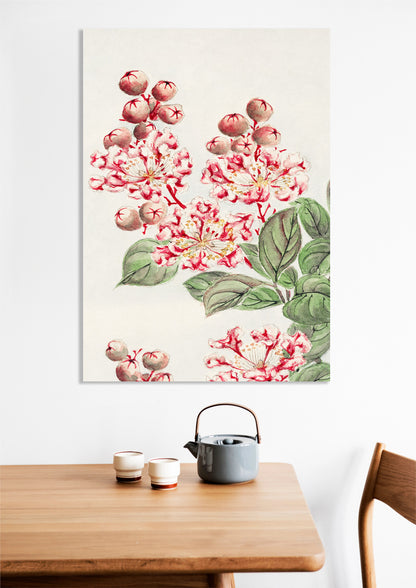 Obraz  Sarusubi Blossoms, Morikaga Japoński Vintage