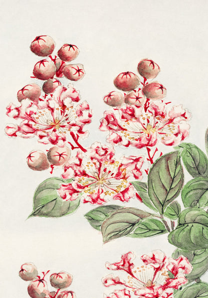 Plakat  Sarusubi Blossoms, Morikaga Japoński Vintage