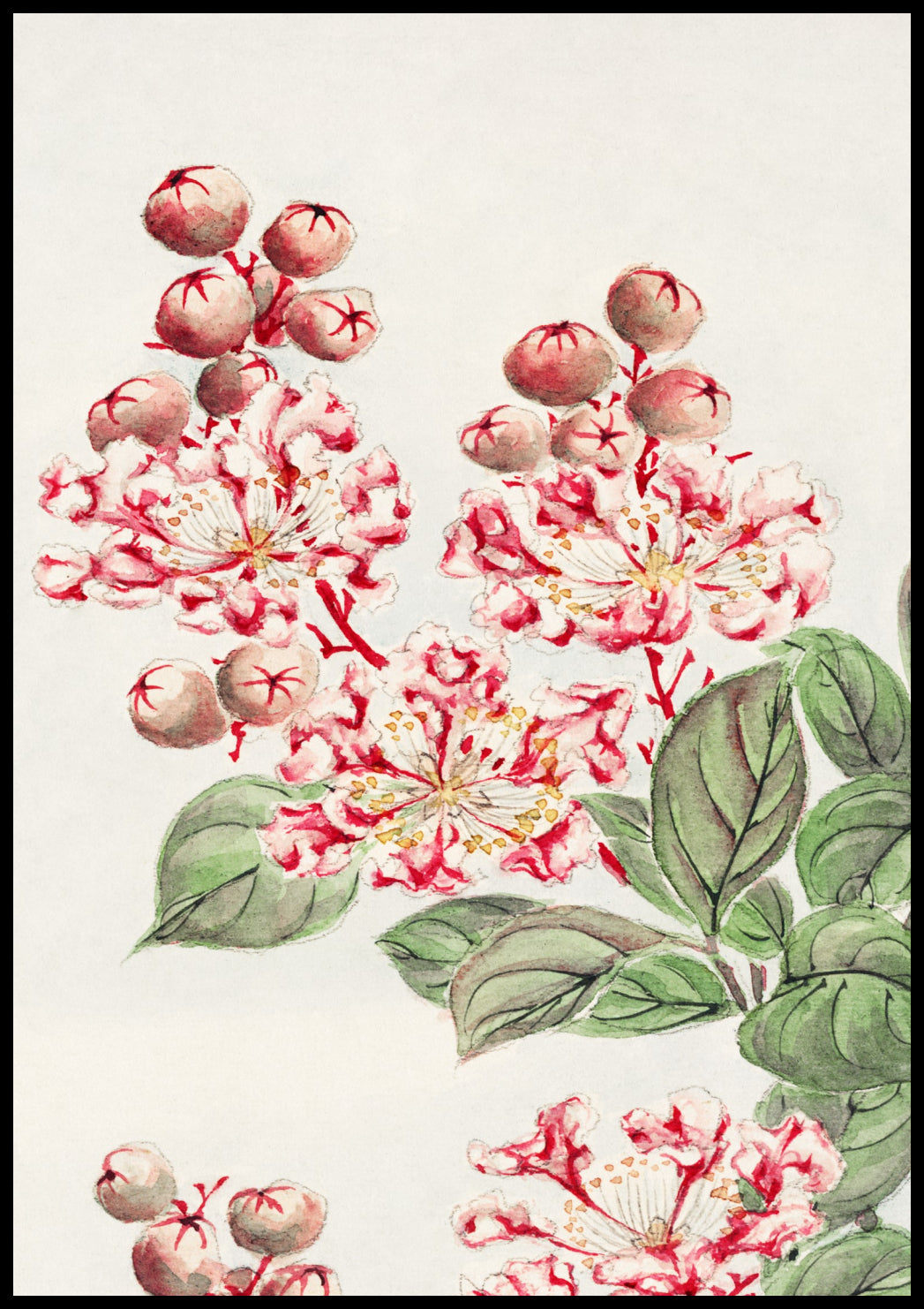 Plakat  Sarusubi Blossoms, Morikaga Japoński Vintage