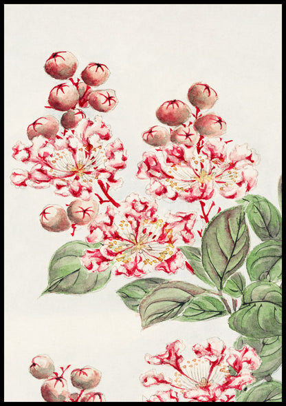 Plakat  Sarusubi Blossoms, Morikaga Japoński Vintage