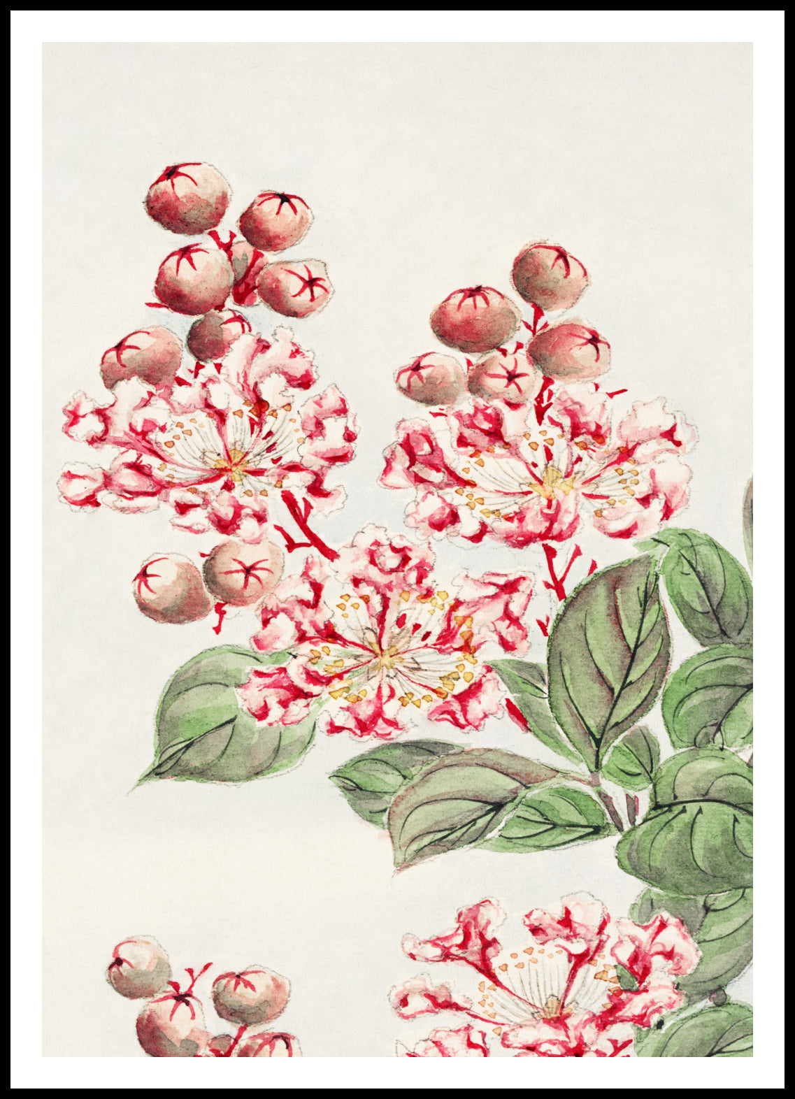 Plakat  Sarusubi Blossoms, Morikaga Japoński Vintage