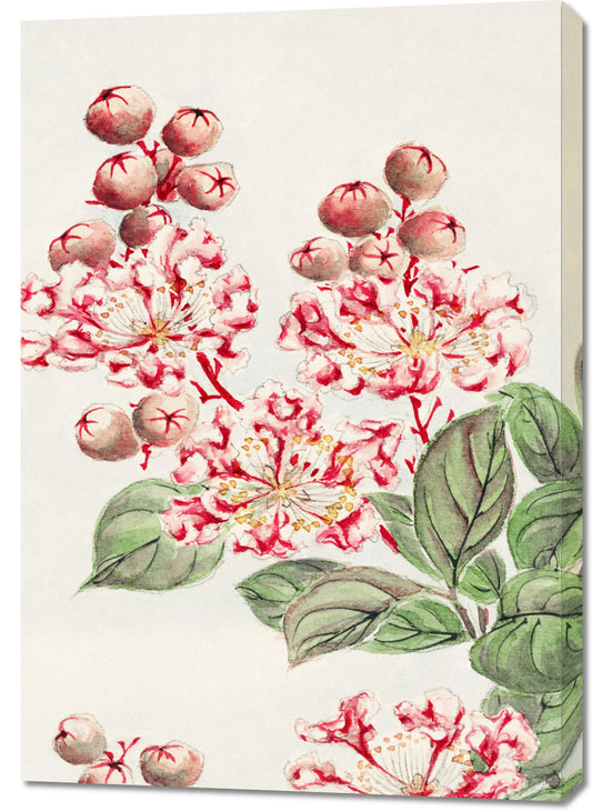 Obraz  Sarusubi Blossoms, Morikaga Japoński Vintage