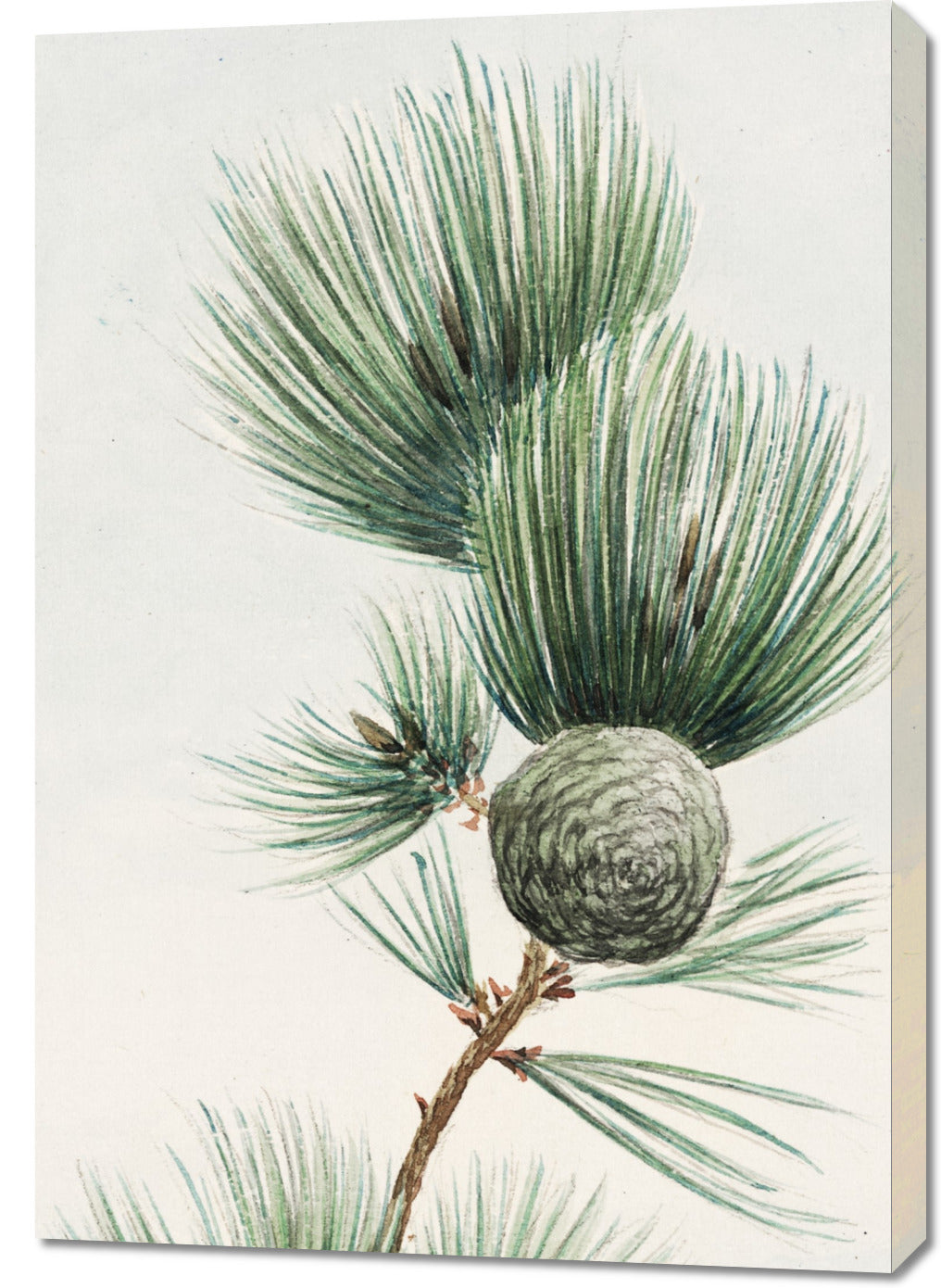 Obraz  Gayo Matsu Pine, Morikaga Japoński Vintage