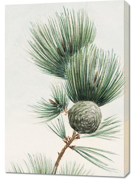 Obraz  Gayo Matsu Pine, Morikaga Japoński Vintage