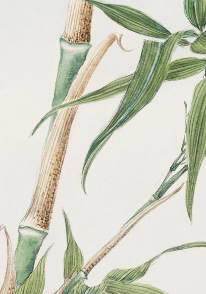 Plakat  Bamboo, Morikaga Japoński Vintage do Salonu