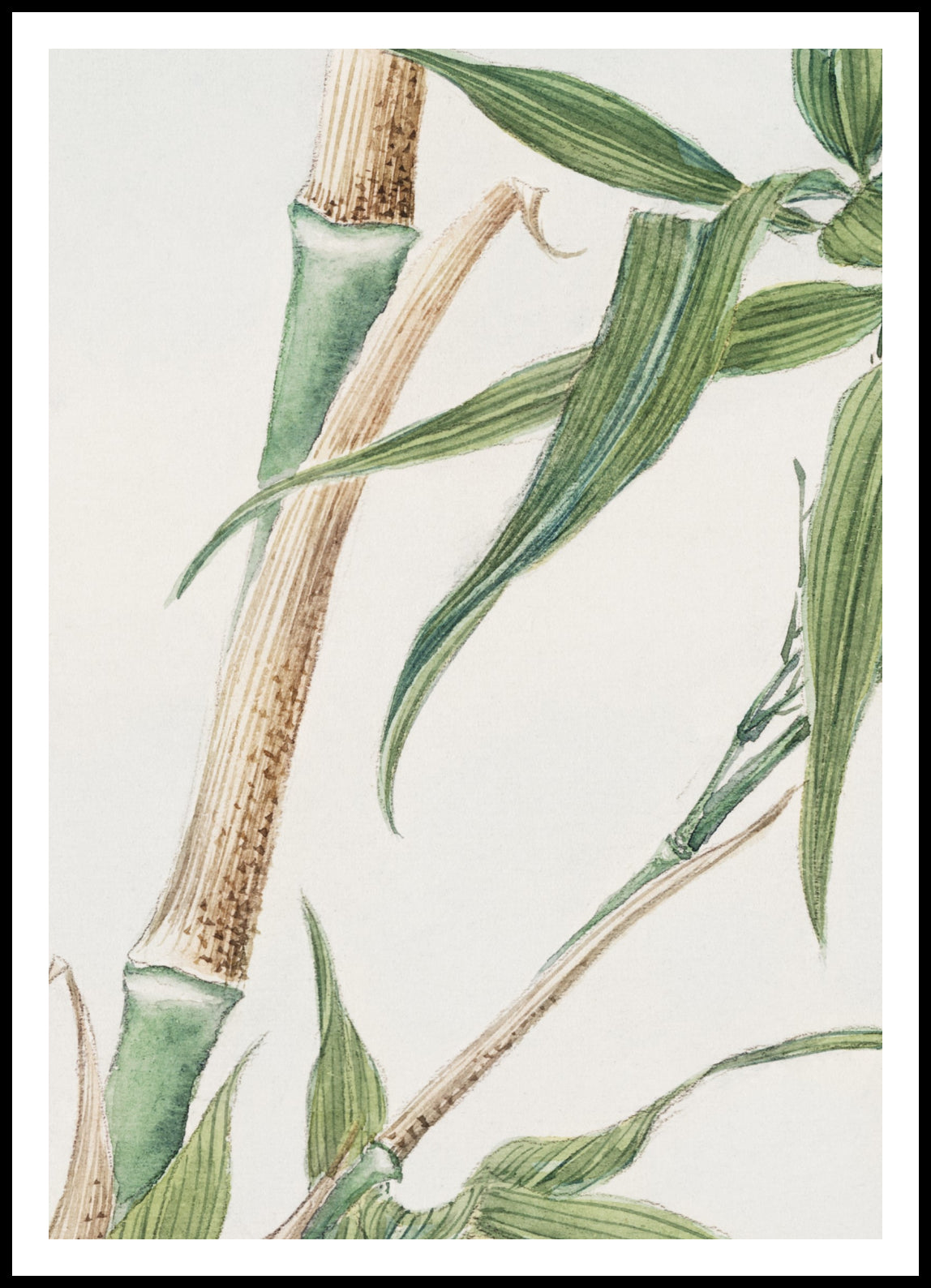 Plakat  Bamboo, Morikaga Japoński Vintage do Salonu