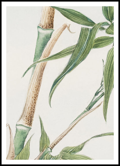Plakat  Bamboo, Morikaga Japoński Vintage do Salonu