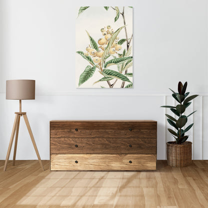Obraz  Biwa Loquat, Morikaga Japoński Vintage do Salonu