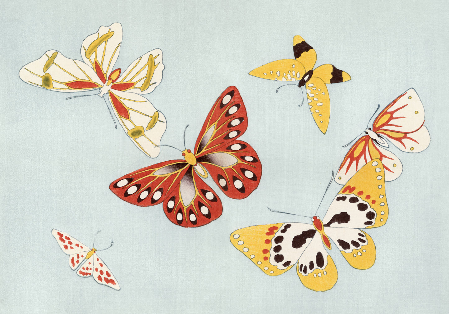 Plakat  Butterfly, Sekka Japoński Vintage do Salonu