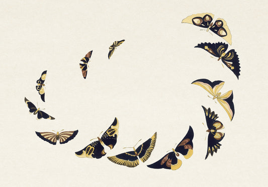 Plakat  Butterfly 6, Sekka Japoński Vintage do Salonu