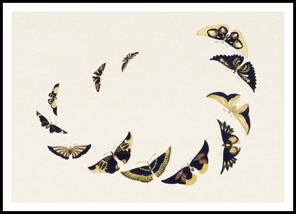 Plakat  Butterfly 6, Sekka Japoński Vintage do Salonu