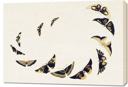 Obraz  Butterfly 6, Sekka Japoński Vintage do Salonu