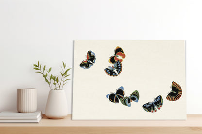 Obraz  Butterfly 7, Sekka Japoński Vintage do Salonu