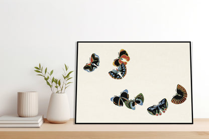 Plakat  Butterfly 7, Sekka Japoński Vintage do Salonu