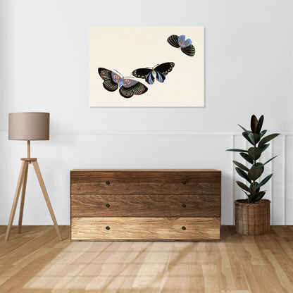 Obraz  Butterfly 11, Sekka Japoński Vintage do Salonu