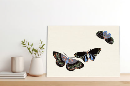 Obraz  Butterfly 11, Sekka Japoński Vintage do Salonu