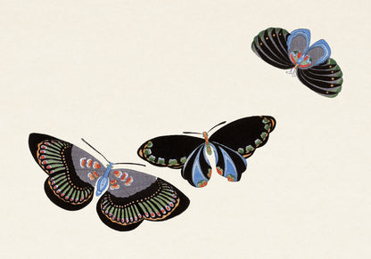 Plakat  Butterfly 11, Sekka Japoński Vintage do Salonu