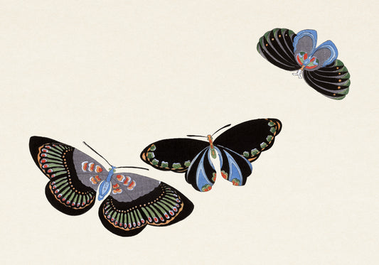 Plakat  Butterfly 11, Sekka Japoński Vintage do Salonu