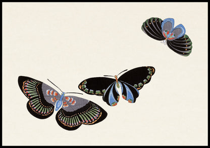 Plakat  Butterfly 11, Sekka Japoński Vintage do Salonu