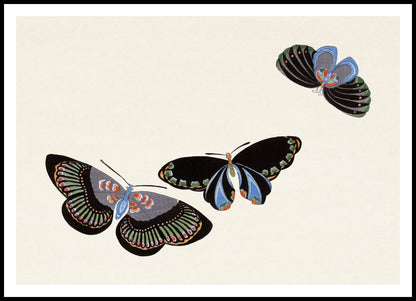 Plakat  Butterfly 11, Sekka Japoński Vintage do Salonu