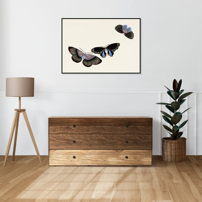 Plakat  Butterfly 11, Sekka Japoński Vintage do Salonu