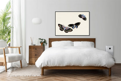 Plakat  Butterfly 11, Sekka Japoński Vintage do Salonu
