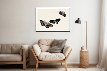 Plakat  Butterfly 11, Sekka Japoński Vintage do Salonu