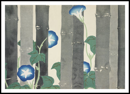 Plakat  Morning Glories, Sekka Japoński Vintage