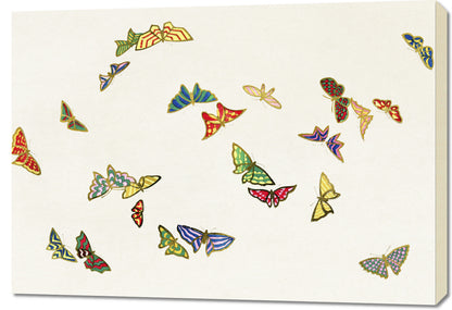 Obraz  Butterfly 14, Sekka Japoński Vintage do Salonu