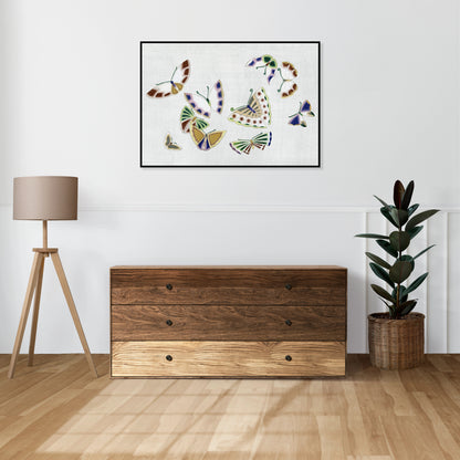 Plakat  Butterfly 16, Sekka Japoński Vintage do Salonu