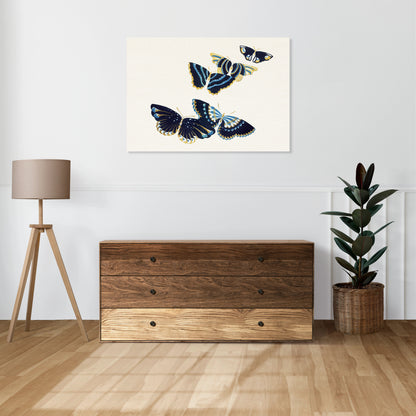 Obraz  Butterfly 17, Sekka Japoński Vintage do Salonu