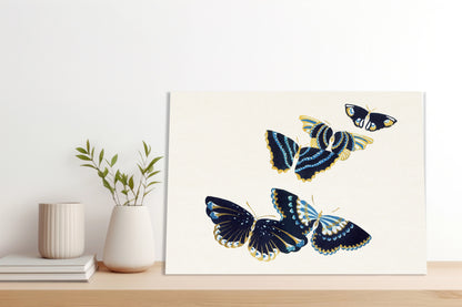 Obraz  Butterfly 17, Sekka Japoński Vintage do Salonu
