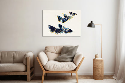 Obraz  Butterfly 17, Sekka Japoński Vintage do Salonu