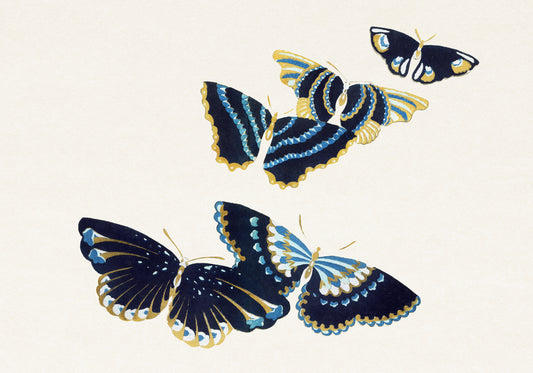 Plakat  Butterfly 17, Sekka Japoński Vintage do Salonu