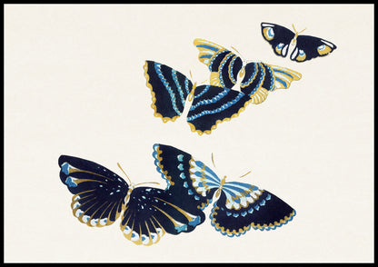 Plakat  Butterfly 17, Sekka Japoński Vintage do Salonu