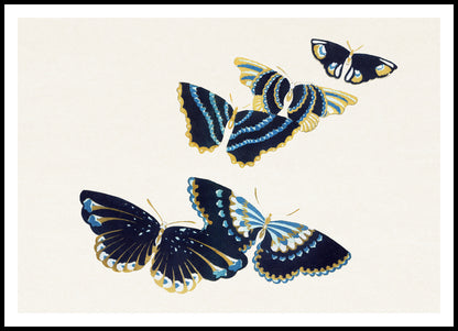 Plakat  Butterfly 17, Sekka Japoński Vintage do Salonu