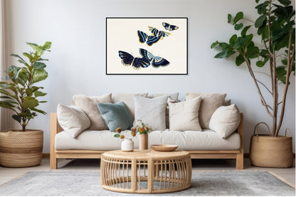 Plakat  Butterfly 17, Sekka Japoński Vintage do Salonu