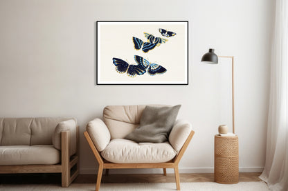 Plakat  Butterfly 17, Sekka Japoński Vintage do Salonu