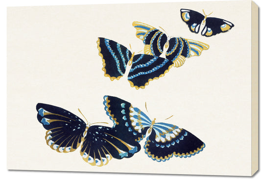 Obraz  Butterfly 17, Sekka Japoński Vintage do Salonu