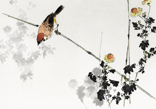 Plakat  Swallow Bird, Seitei Japoński Vintage do Salonu