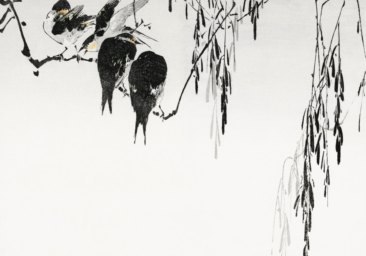 Plakat  Perched Magpies, Seitei Japoński Vintage