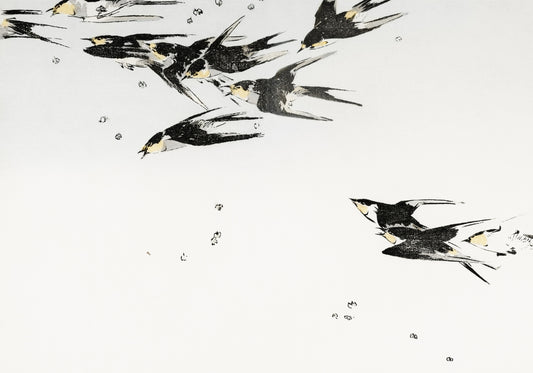 Plakat  Flying Magpies, Seitei Japoński Vintage