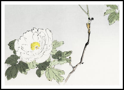 Plakat   Blossomed Flower, Seitei Japoński Vintage