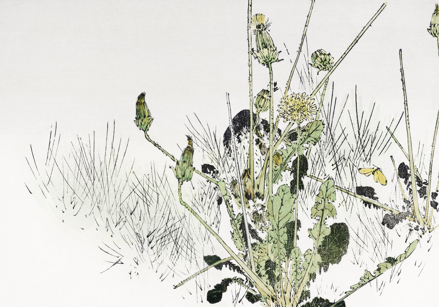 Plakat  Wild Dandelions, Seitei Japoński Vintage